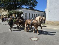 Jagdwagen